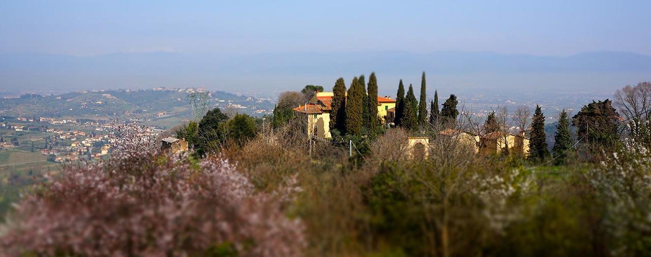 Agriturismo Frigionaia Carmignano Eksteriør billede